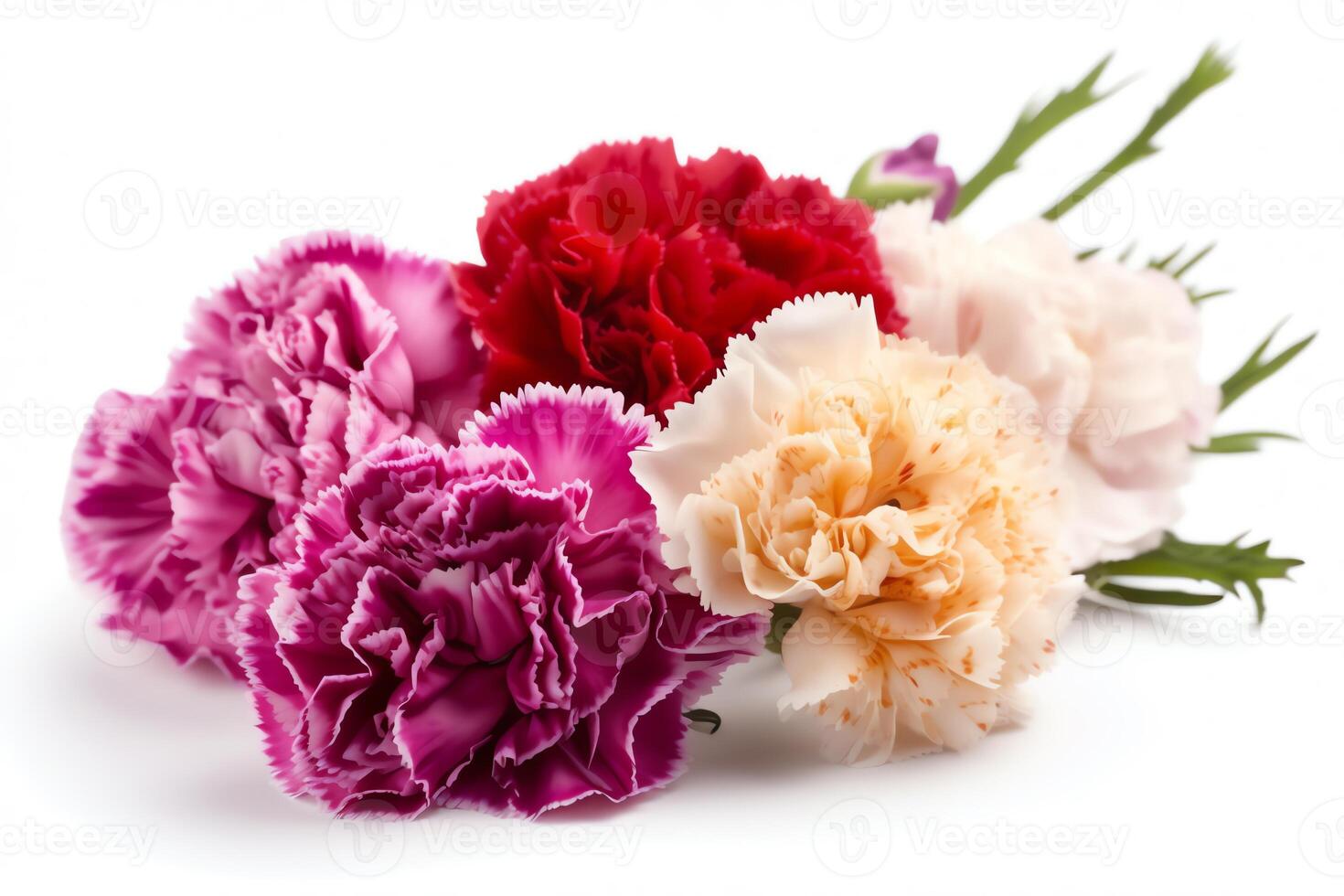 Bouquet of carnation flowers with leaves, isolated on white background. photo
