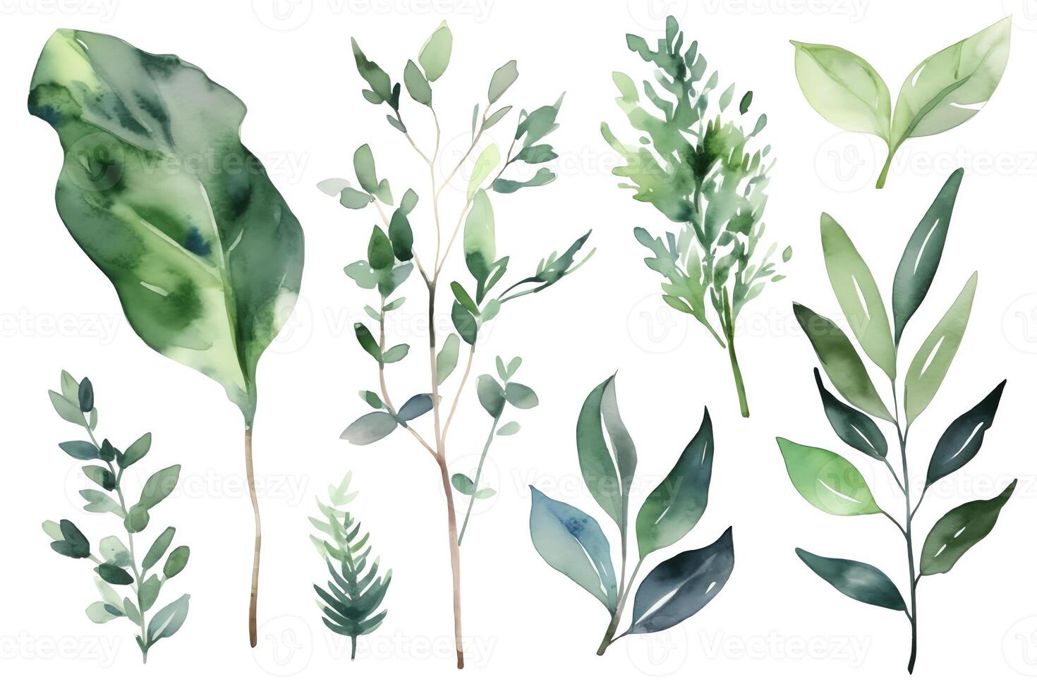 Watercolor greenery set on white background. photo