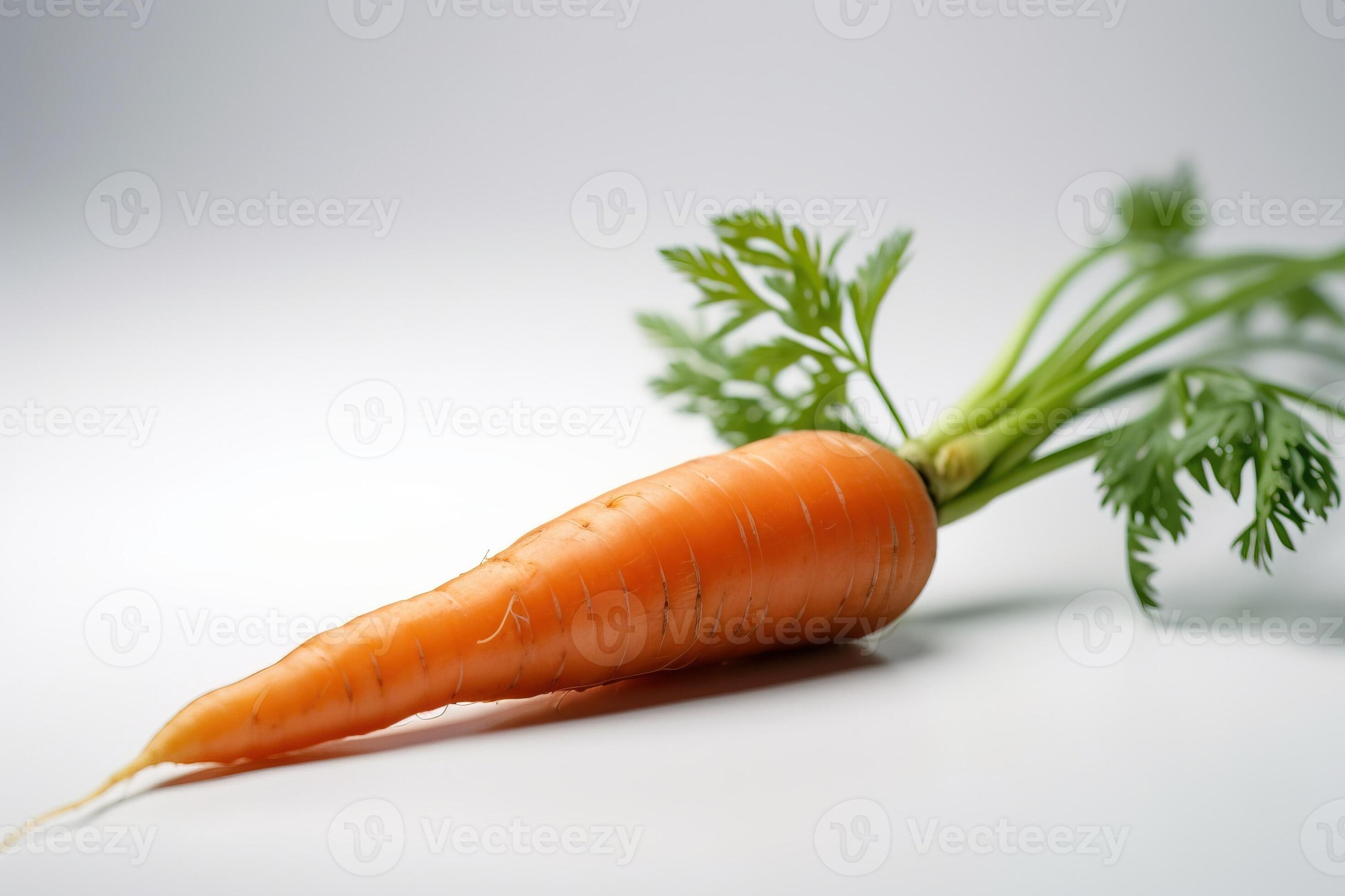 Fresh carrots with leaves, isolate on a white background. Macro studio