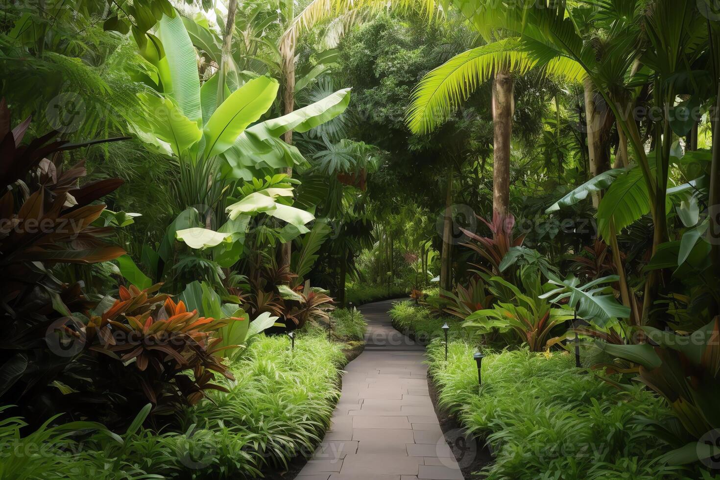 Tropical plants and trees on walkway. photo