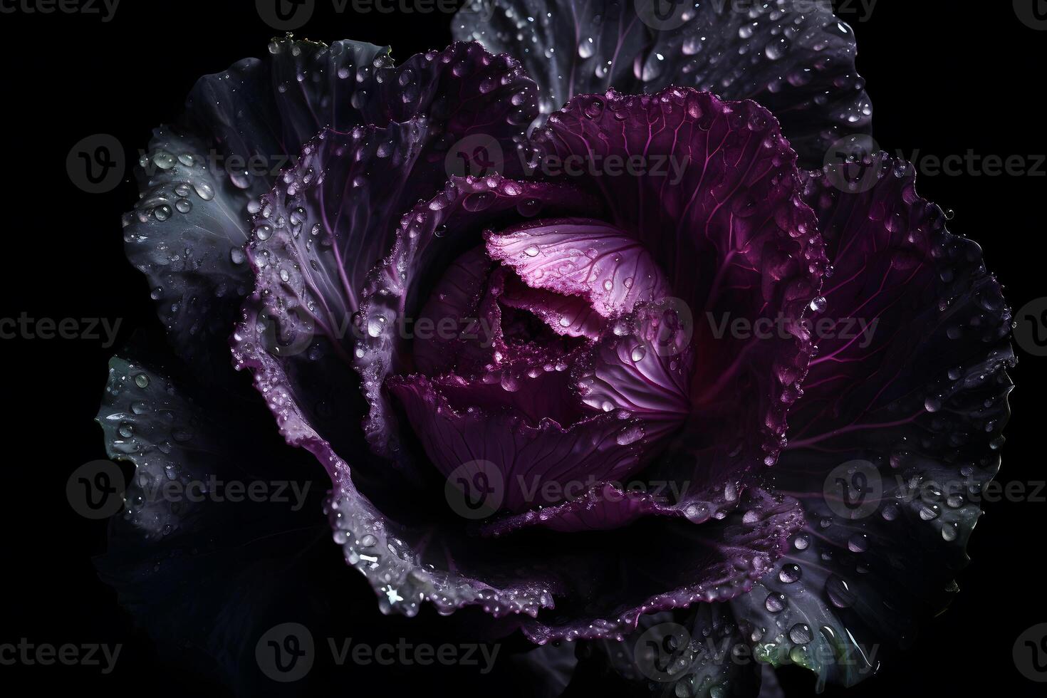 Cabbage on a black background. Neural network photo