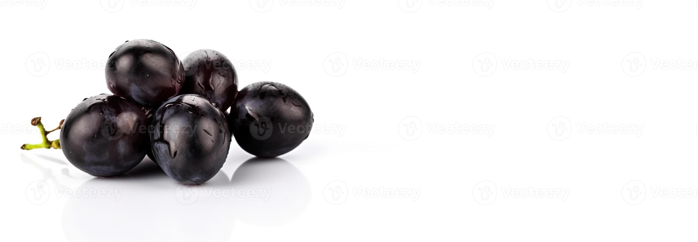 Vine of fresh blue Black Corinthian grapes, isolate on white background. Sprig of organic natural food. . Header banner mockup with space. photo
