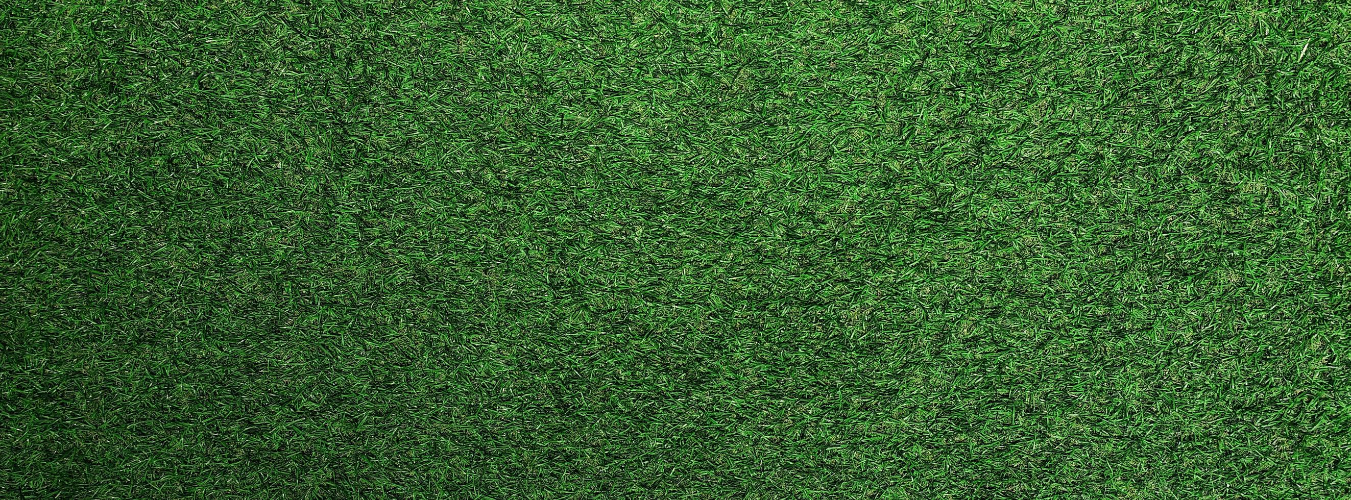 Top view Green grass texture background. Panoramic web banner or wallpaper with copy space. photo