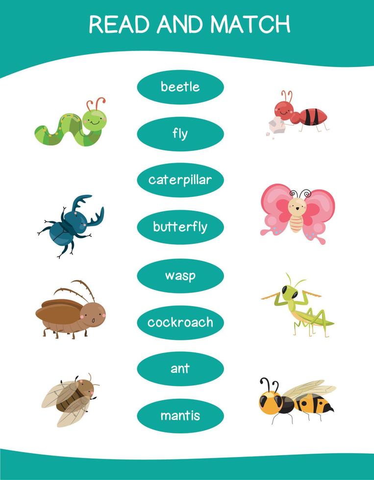 Read and match worksheet game. English alphabet with cartoon animals set. Matching words with images using funny insect animals for kids. Bugs collections. Vector illustration.