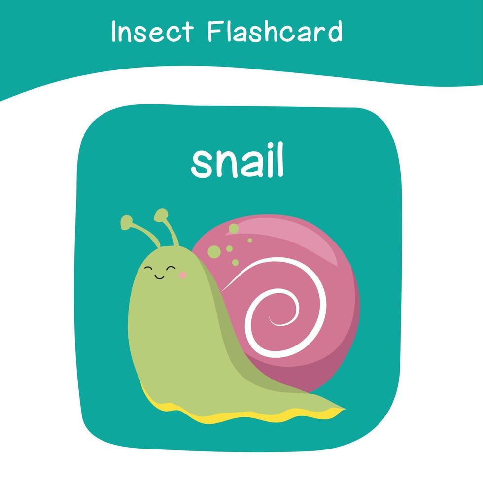 Insect Game flashcards for children. Educational printable game card with images using funny insect animal for kids. Animals with names. Animal card vocabulary. Vector illustration.