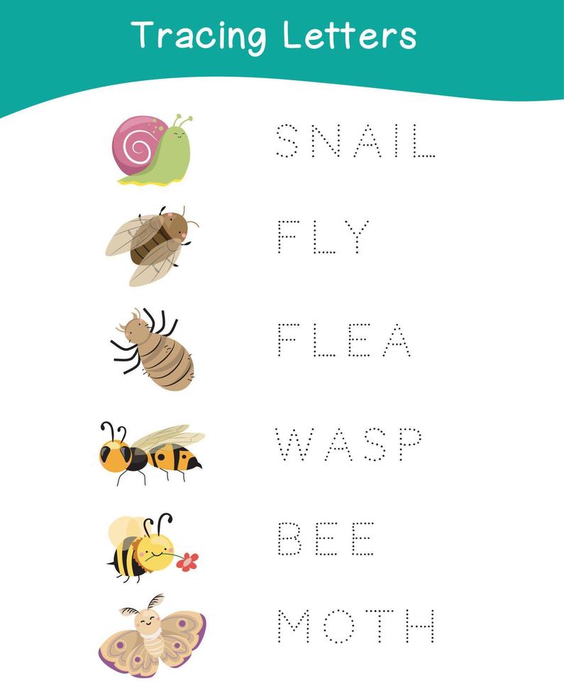 Tracing letters. Tracing names of insect names worksheet. Writing practice. Educational printable colorful worksheet. Vector file.