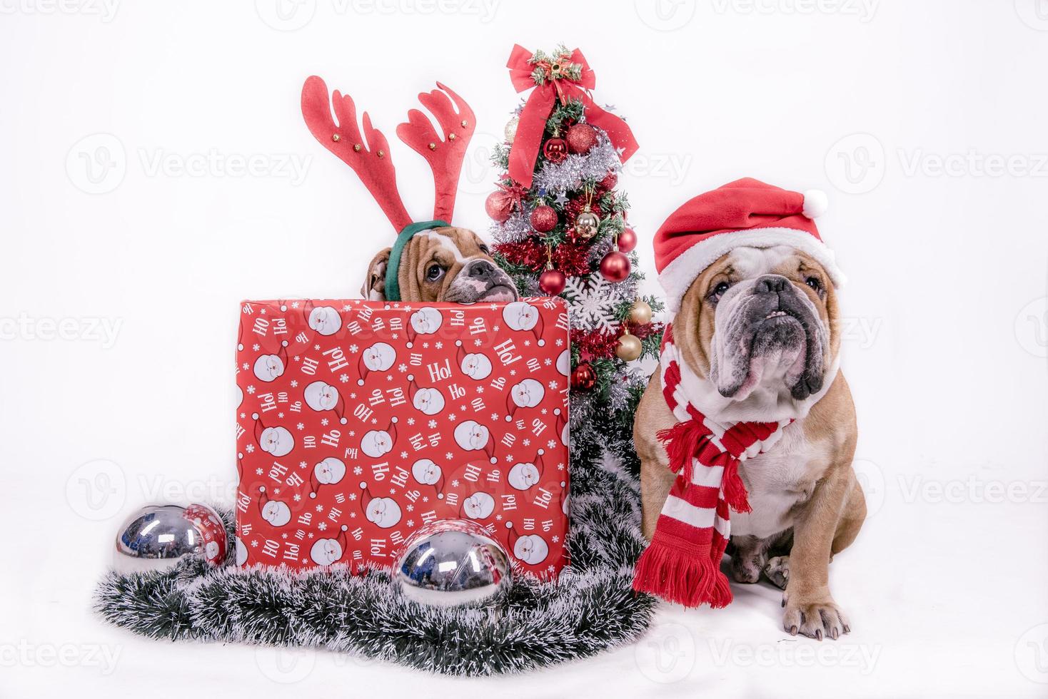 Papa Noel y pequeño ayudante foto