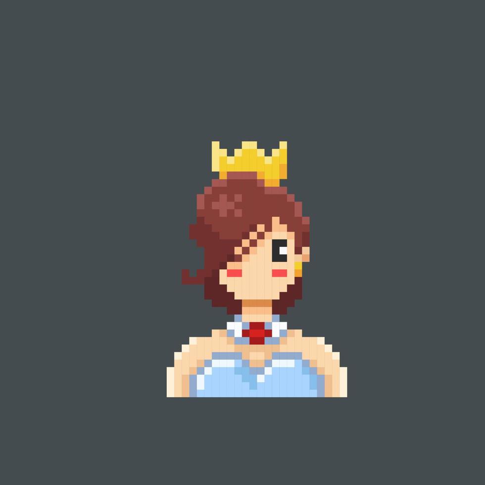 a woman wearing dress and golden crown in pixel art style vector