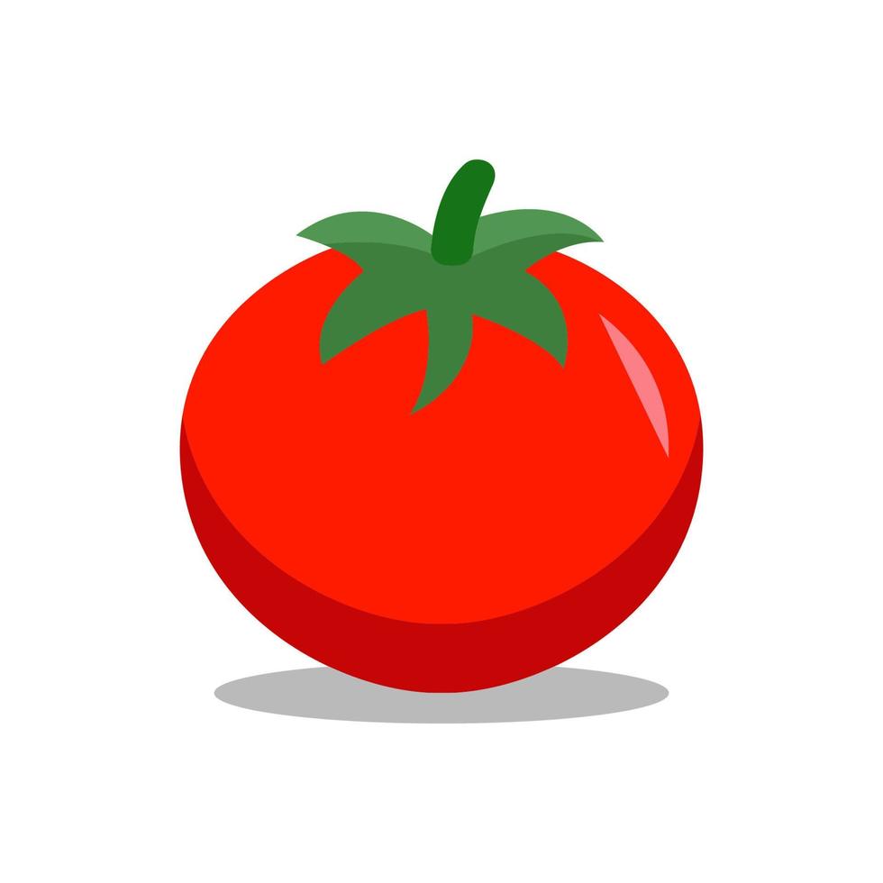 tomate icono diseño vector modelo