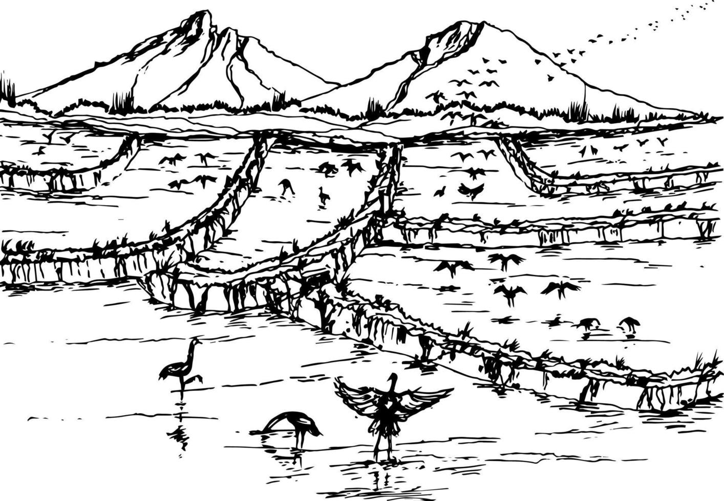 Hand drawn vector nature illustration with rice field on main view, using for travel and nature background