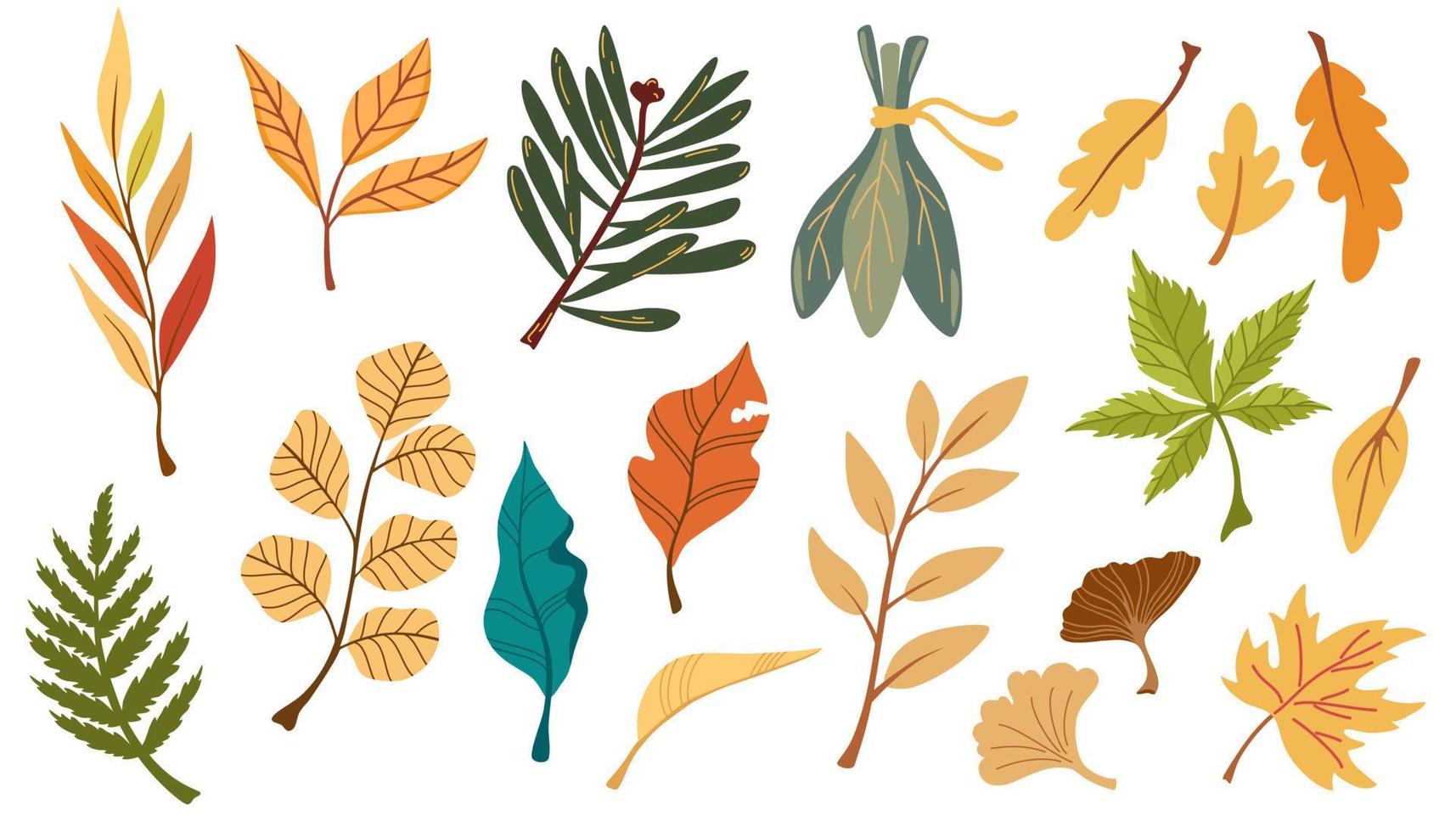 Autumn leaves set.  Autumnal yellow leaf, forest nature orange leafage and september red leaves. Chestnut, dog rose and viburnum or foliage leaf. Flat isolated icons vector illustration