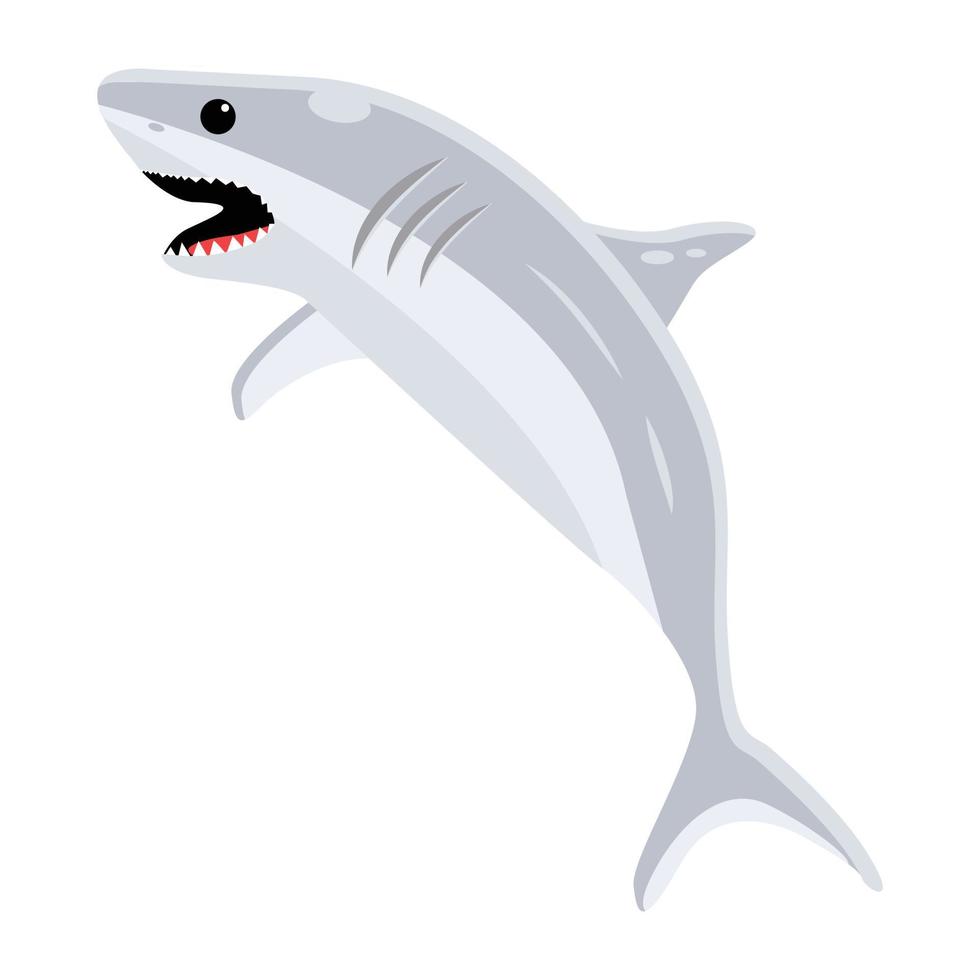 Trendy White Shark vector