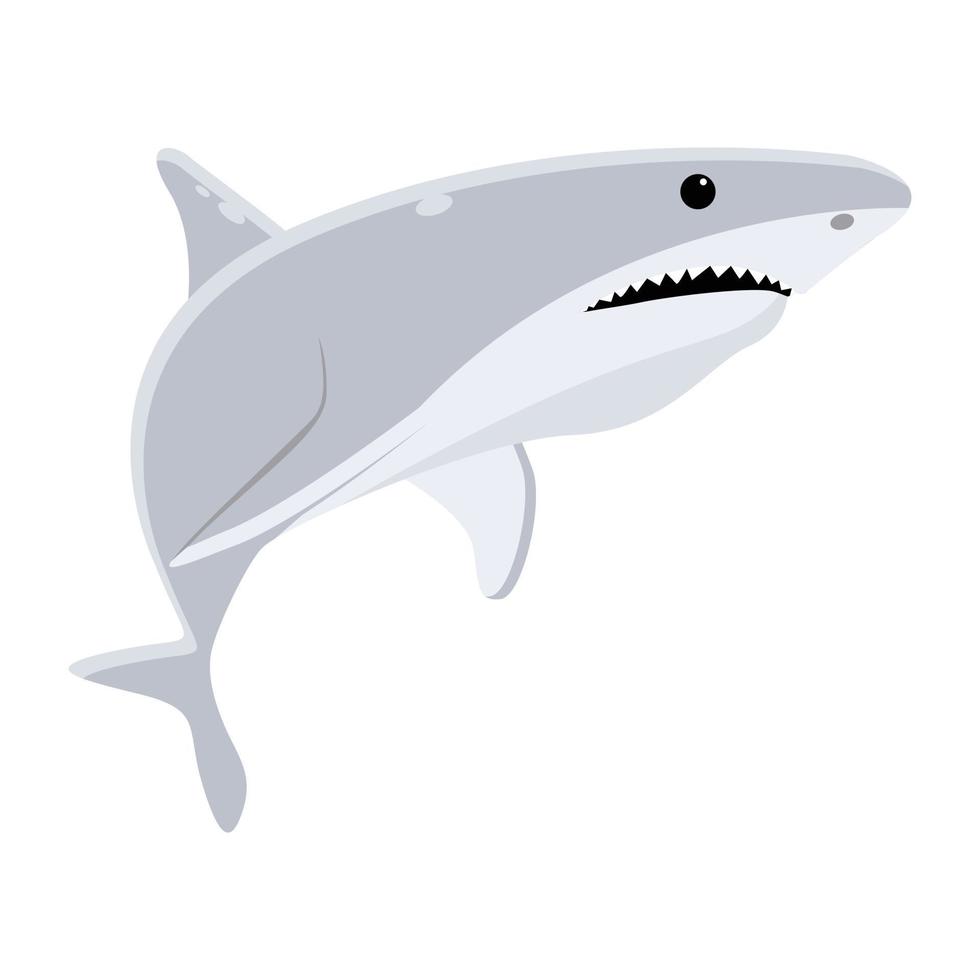 Trendy Carcharodon Carcharias vector