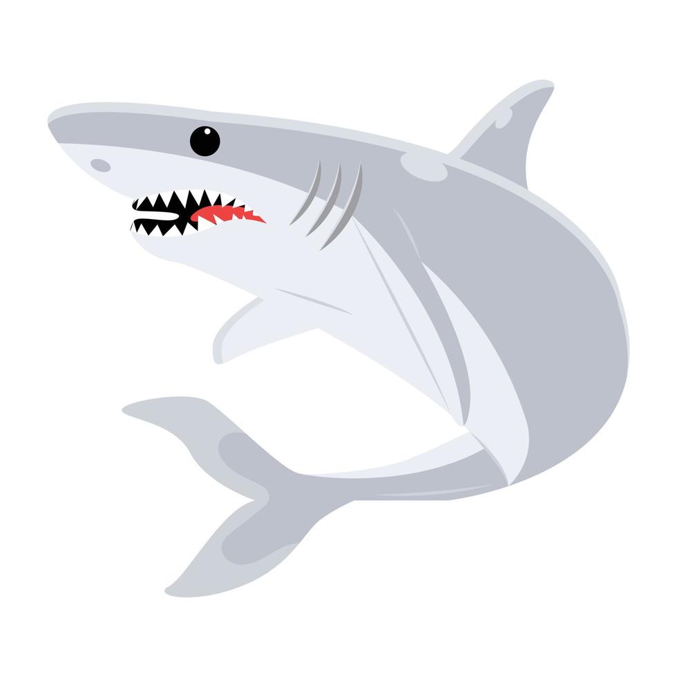 Trendy Selachimorpha Concepts vector