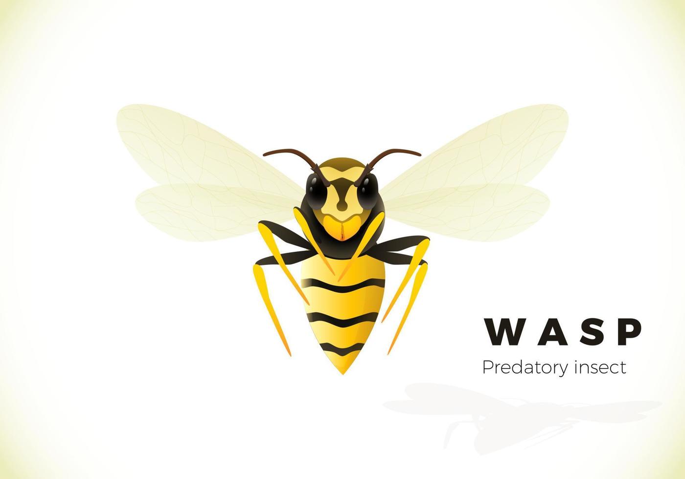 Wasp cartoon illustration isolated on white background. poisonous insect. Yellow wasp. Vector
