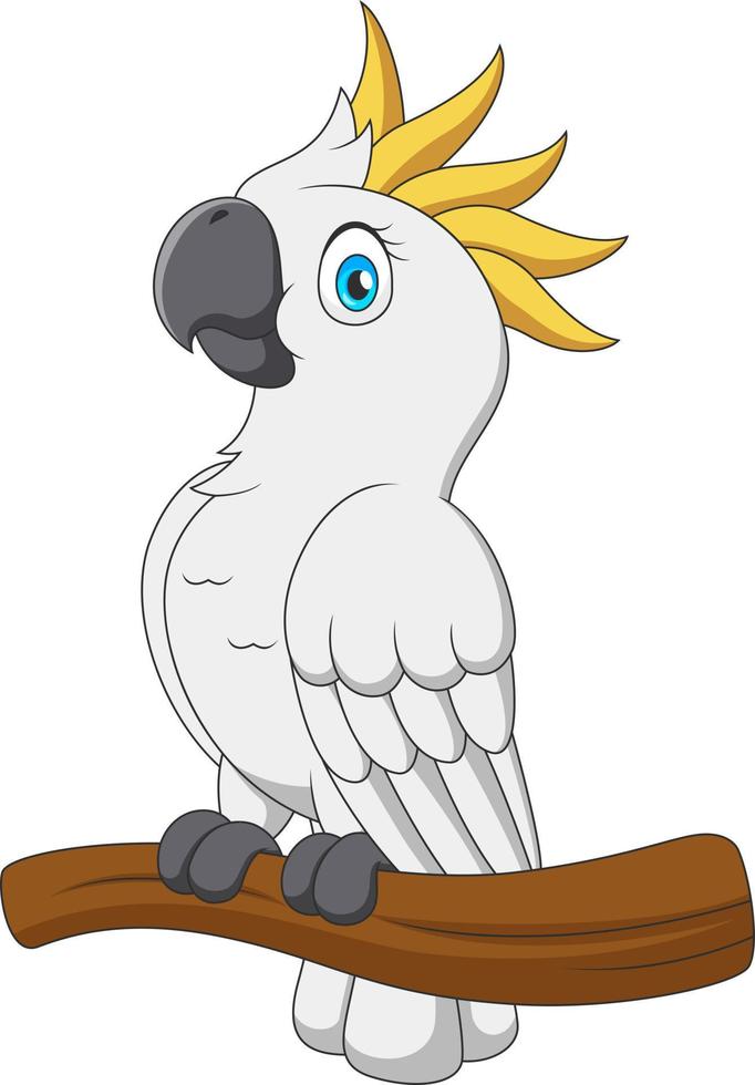 Cute cartoon cockatoo on a branch. Vector illustration