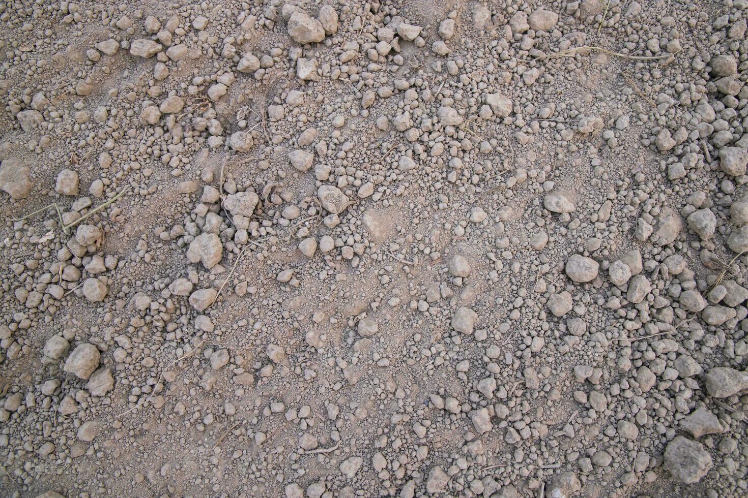 Brown crushed soil peat field texture may be used as a  background wallpaper photo