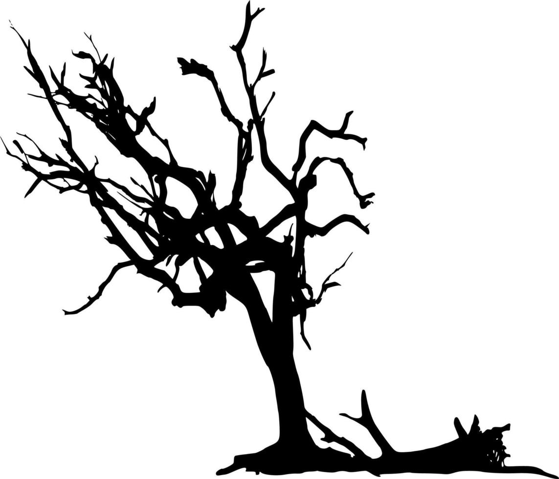 Vector silhouette of Tree on white background