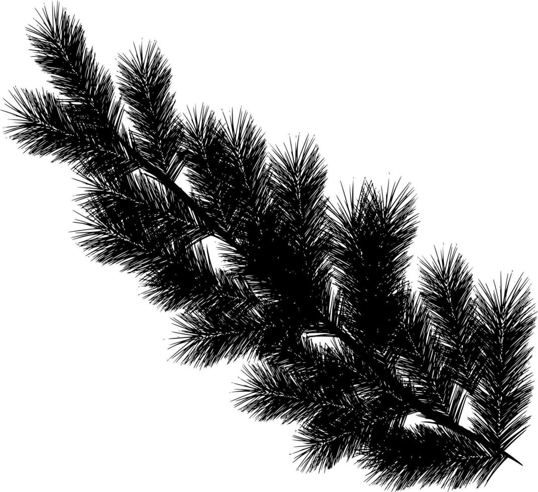 Vector silhouette of tree branch on white background