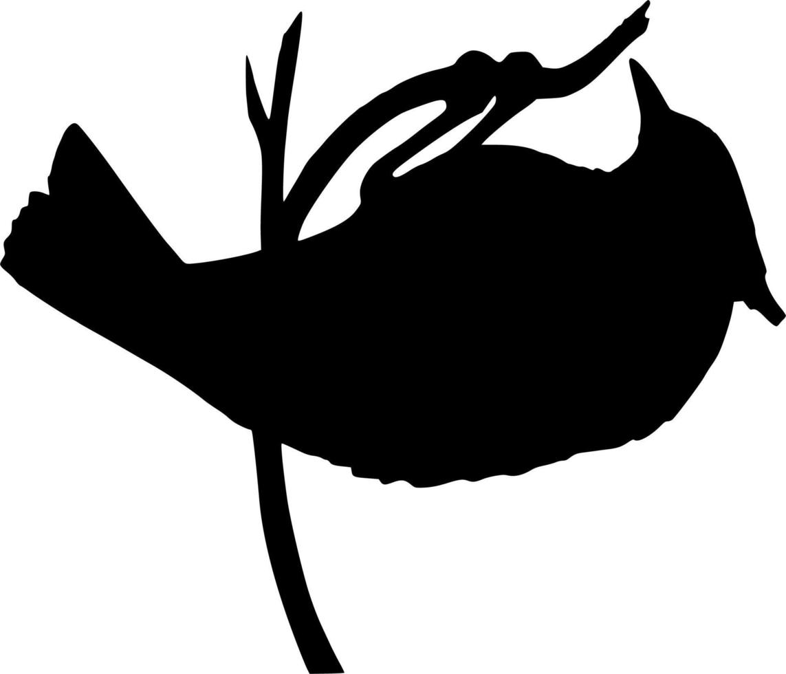 Vector silhouette of Bird on white background