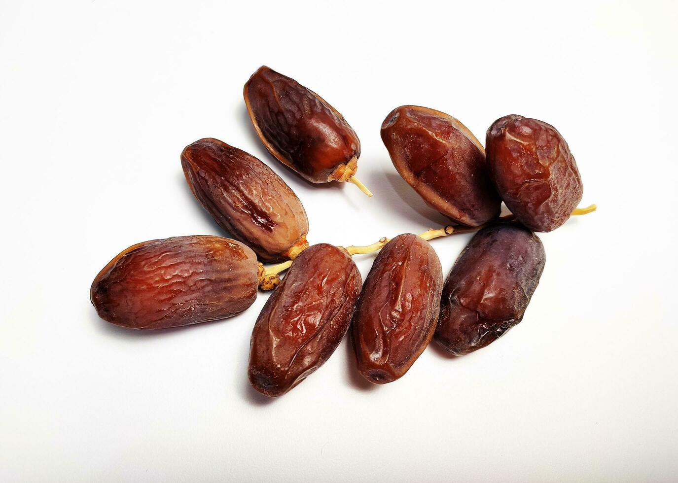 Dried dates on stalk, white background photo