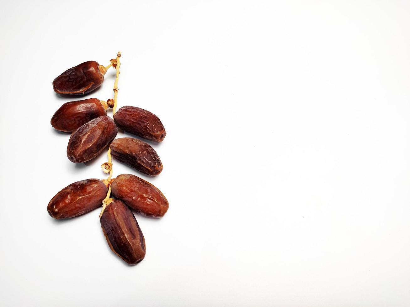 Dried dates on stalk, white background photo