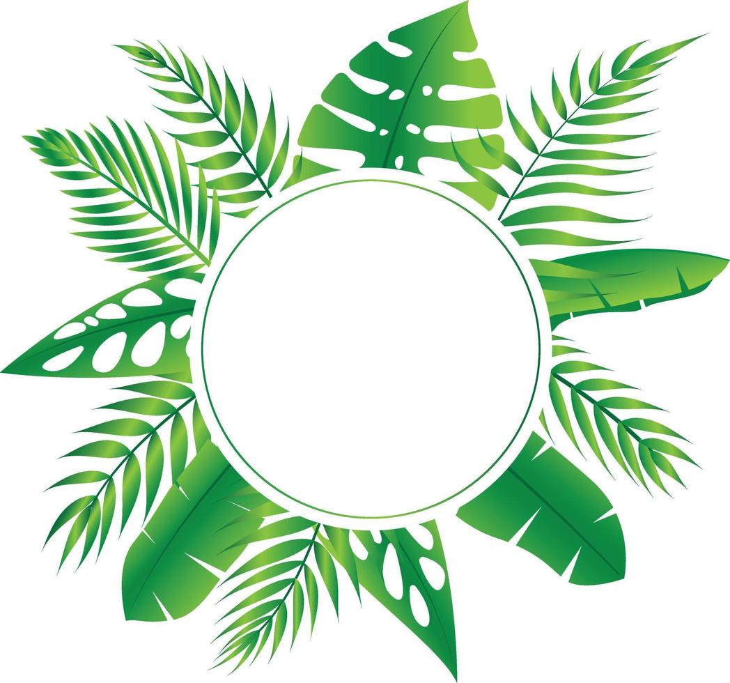 Vector floral frame Forest fern tropical leaf folliage