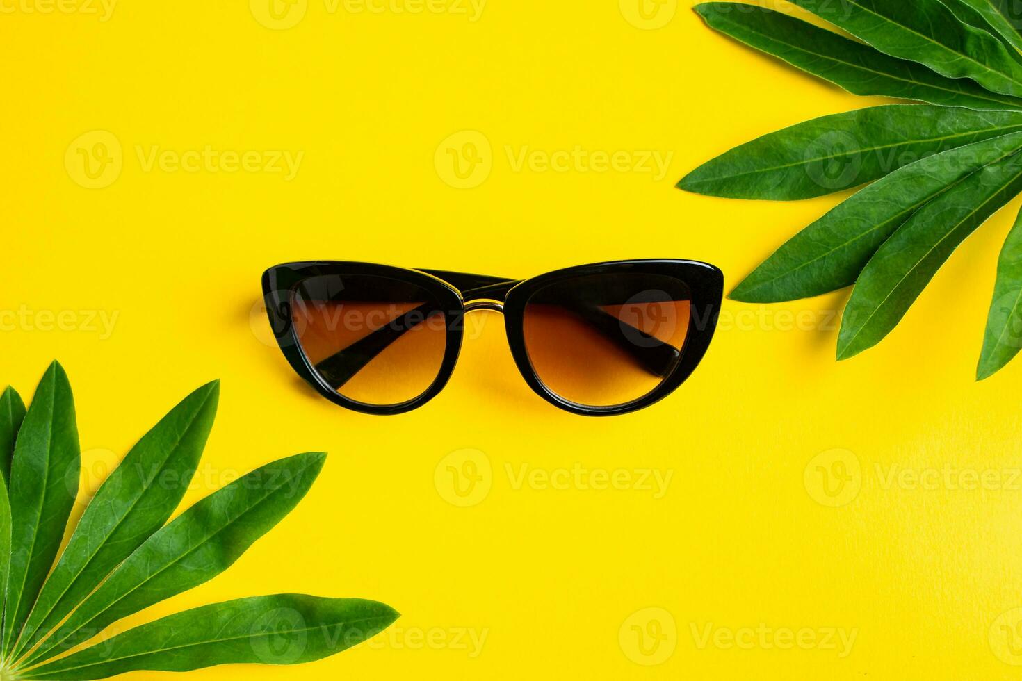 Sunglasses and green leaves on yellow background. photo