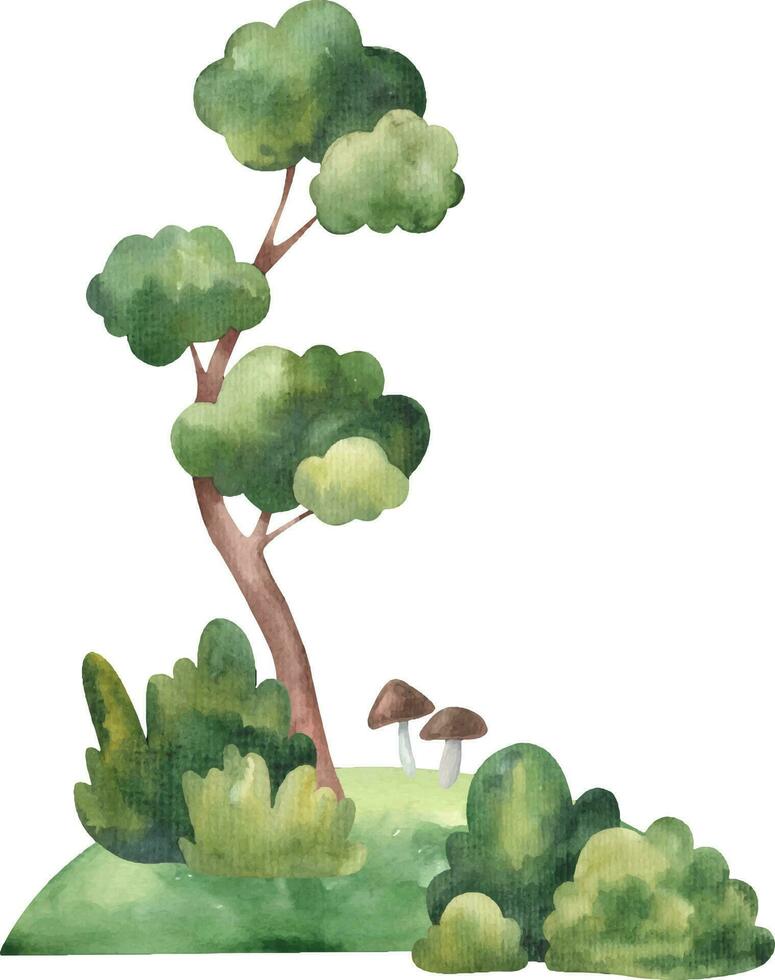 composition with pine tree, forest landscape, stones, bushes and, lawn. Children's illustration on a white background in watercolor.eps vector