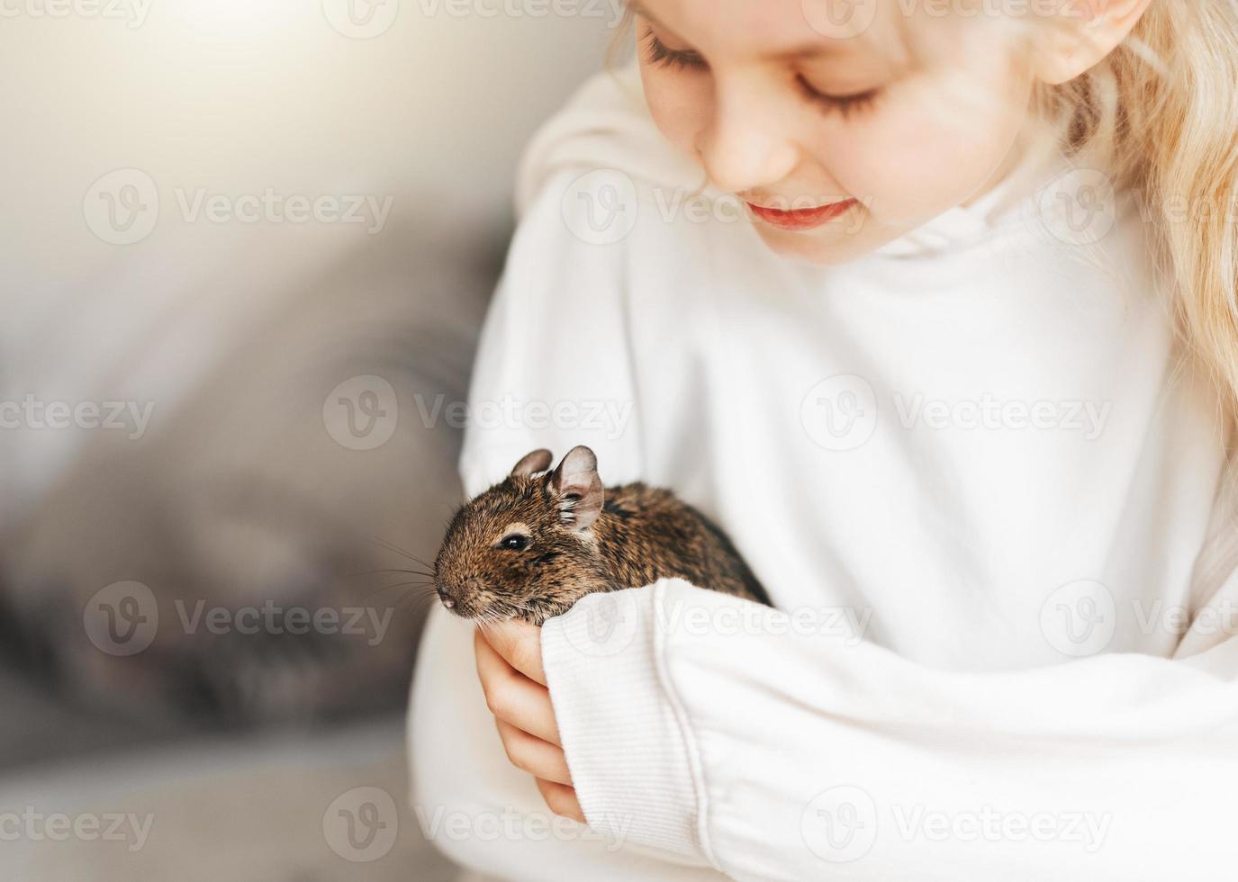 Young girl playing with small animal degu squirrel. photo