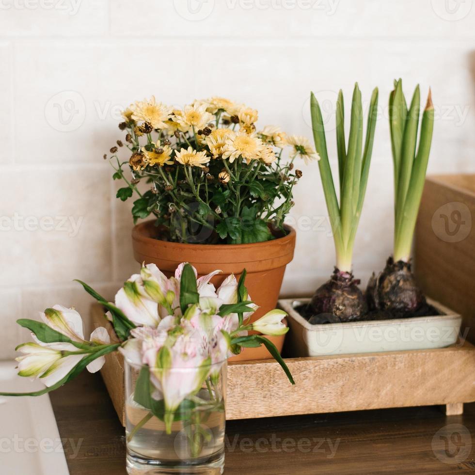 Spring Scandinavian decor of a cozy home, indoor flowers in a pot and in a vase, hyacinths photo