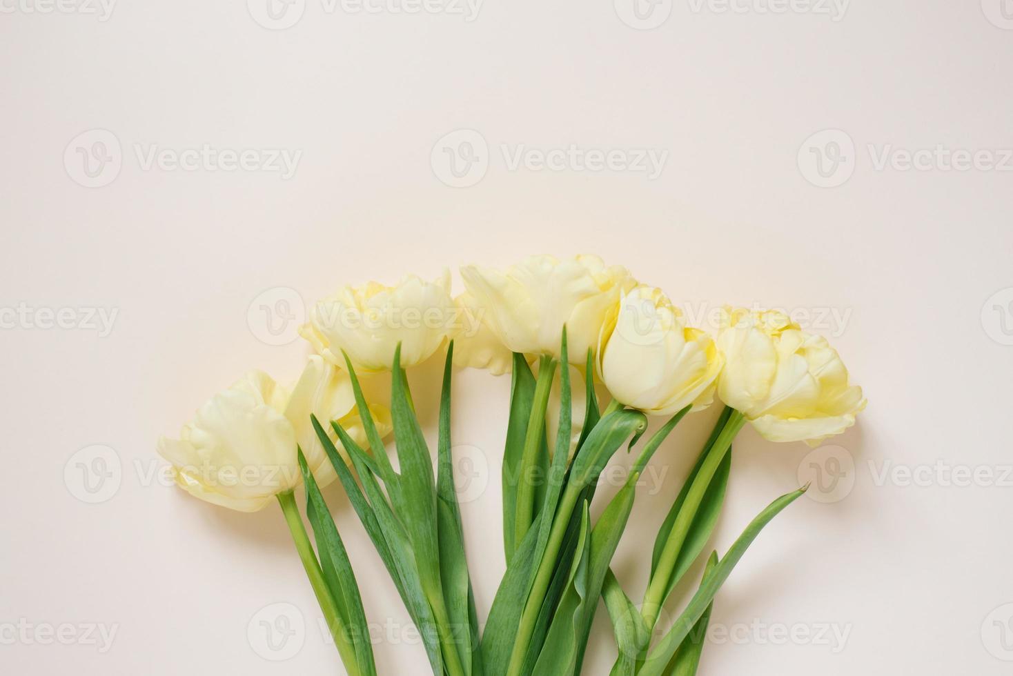 Beautiful arrangement of spring flowers. Yellow tulips flowers on a light background. Valentine's Day, Easter, Birthday, Happy Women's Day, Mother's Day. Flat lay, top view, copy space photo