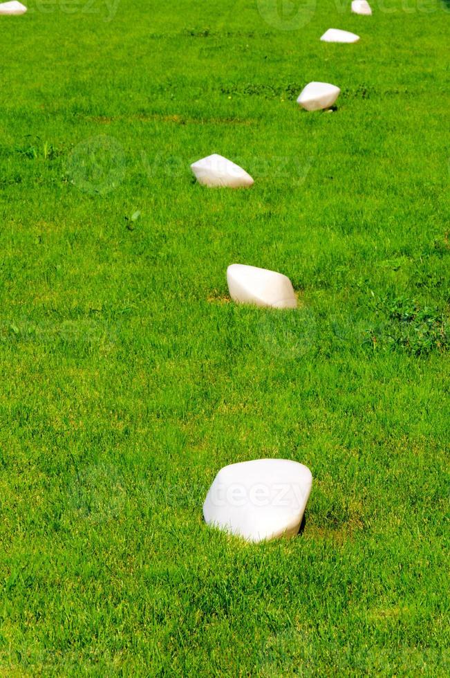 lamps on the grass photo