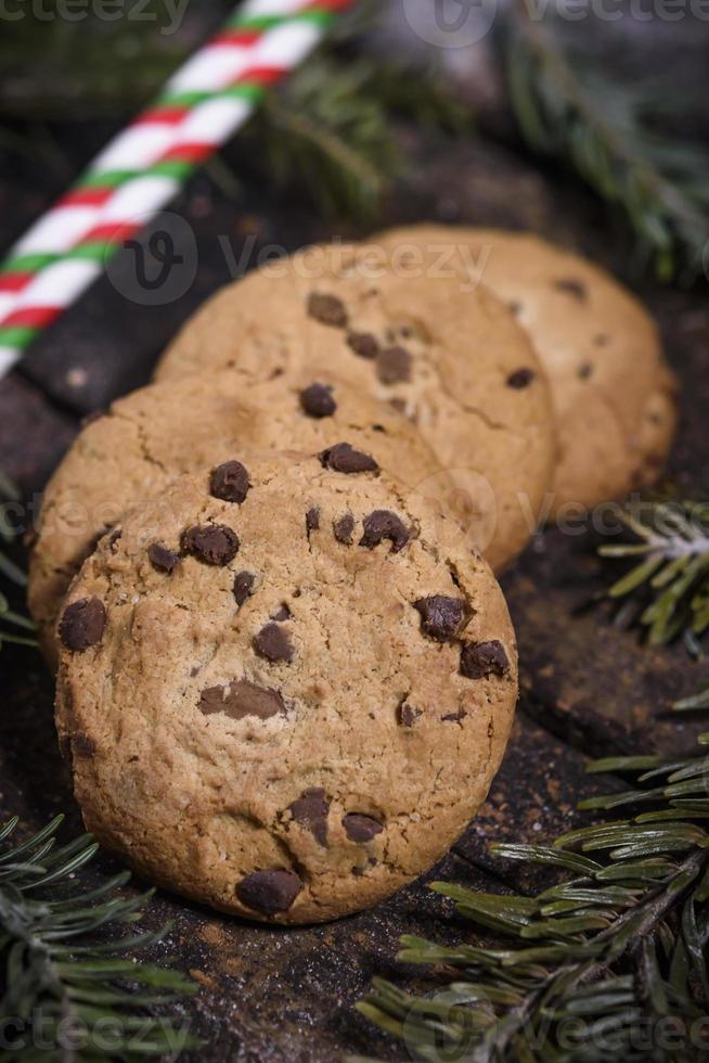 Gingerbread holiday cookies photo