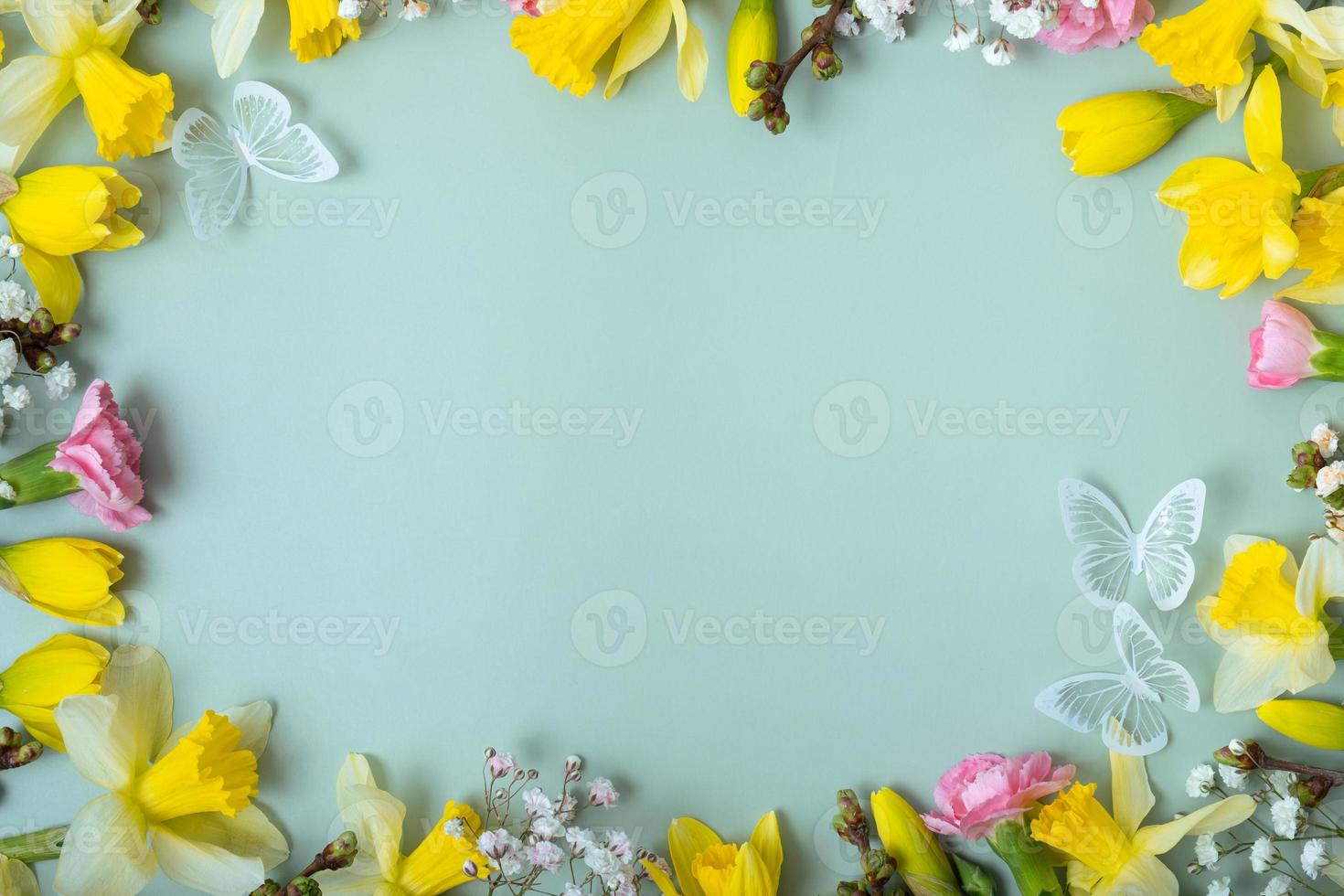 Spring flowers flat lay frame composition on colored background with copy space. Daffodils with carnations top view photo