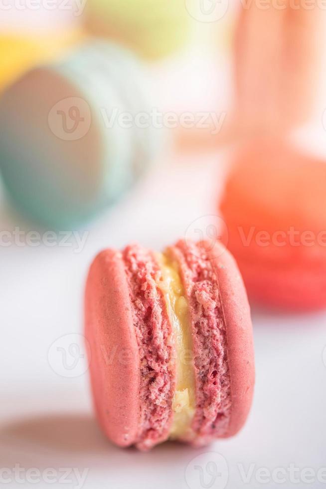 Single pink macaroon photo