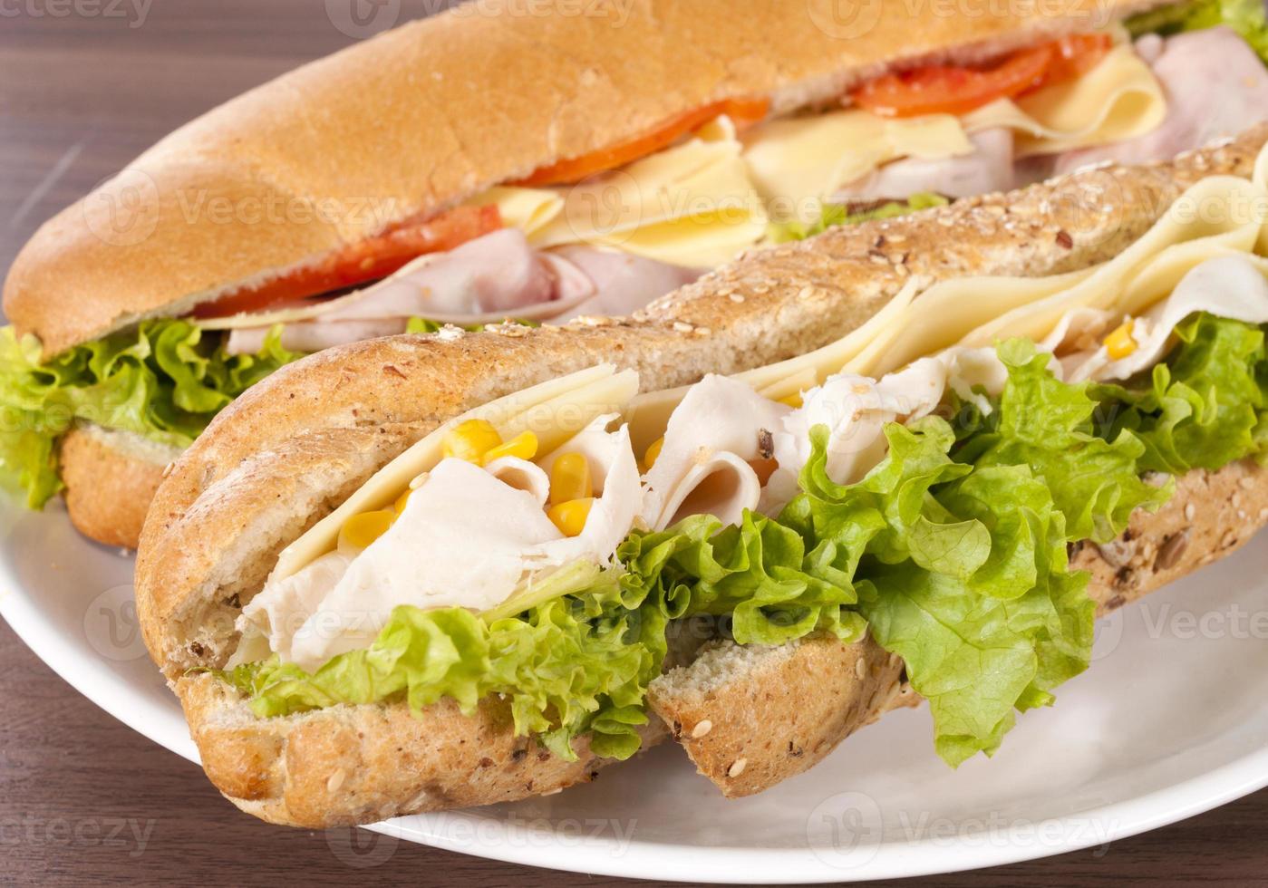 Sandwiches on plate photo
