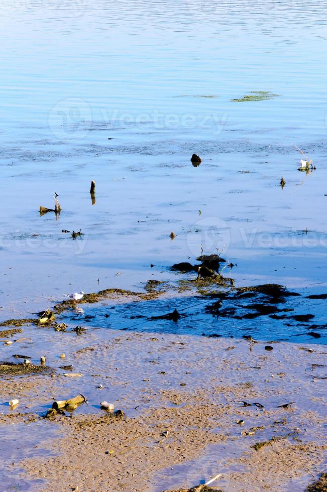 Mud and water photo