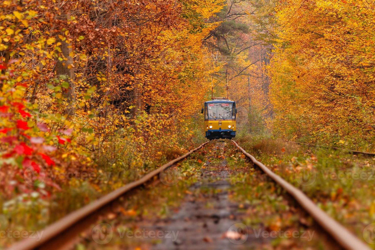autumn forest among which goes a strange tram photo