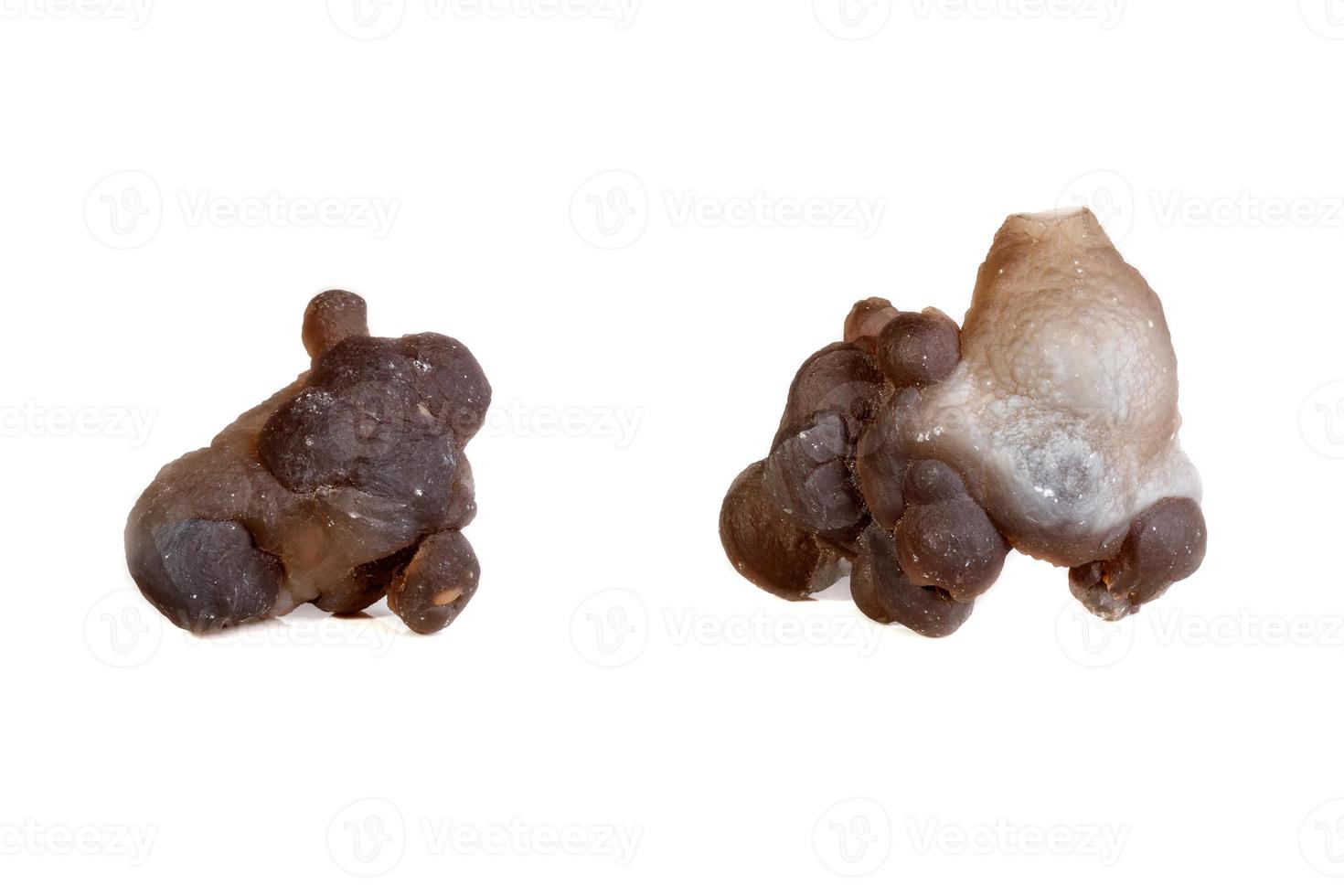 Macro mineral stone Chalcedony, Chalcedony screed on a white background photo