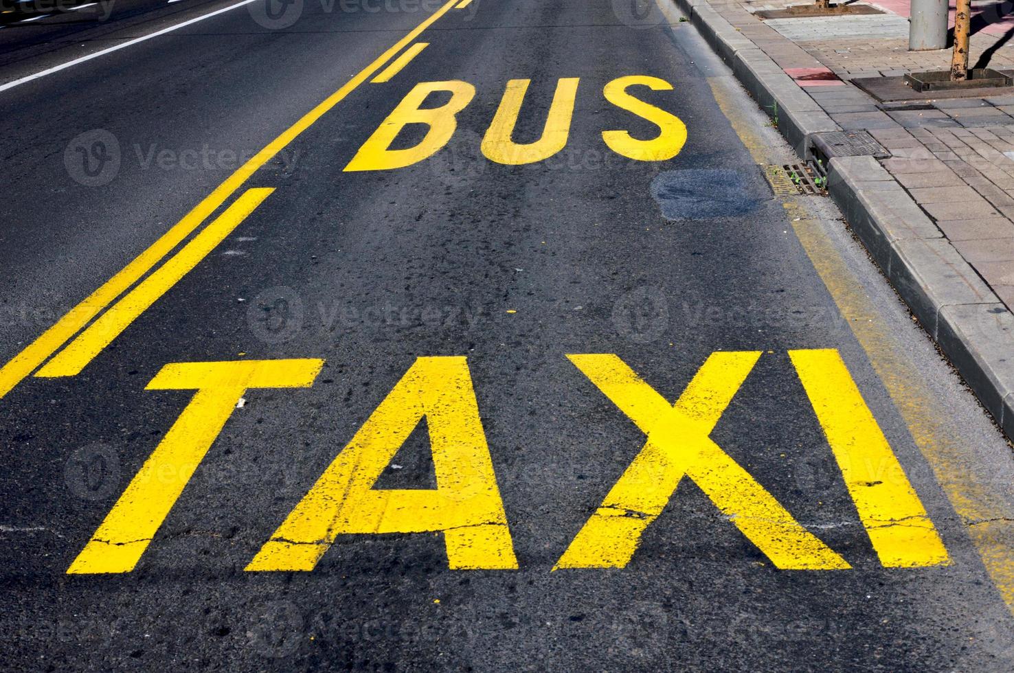 Taxi and bus photo