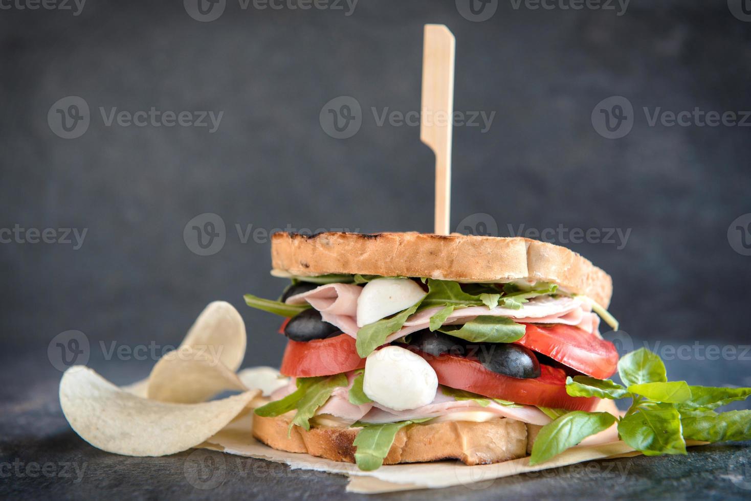 Juicy toast sandwich photo