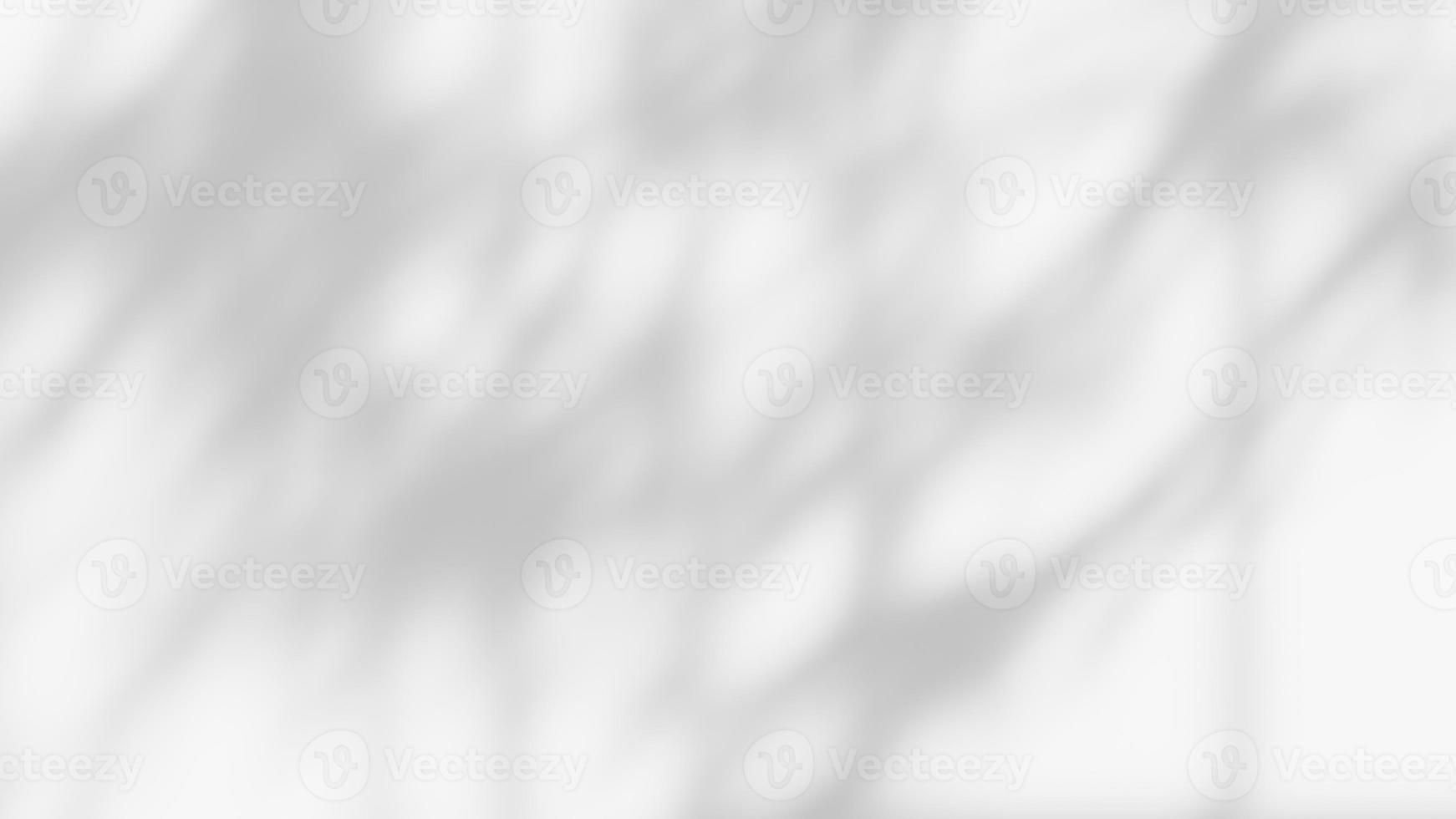 leaf shadow overlay effect. white background with tropical leaves shadows photo