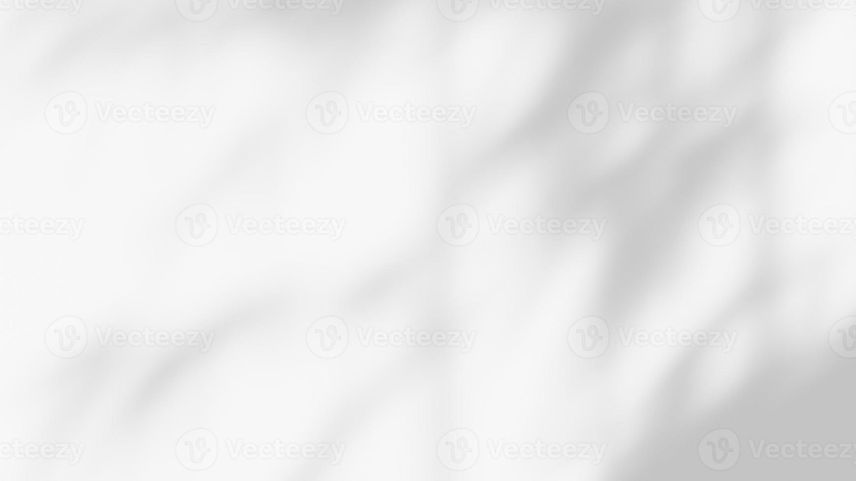 leaf shadow overlay effect. white background with tropical leaves shadows photo