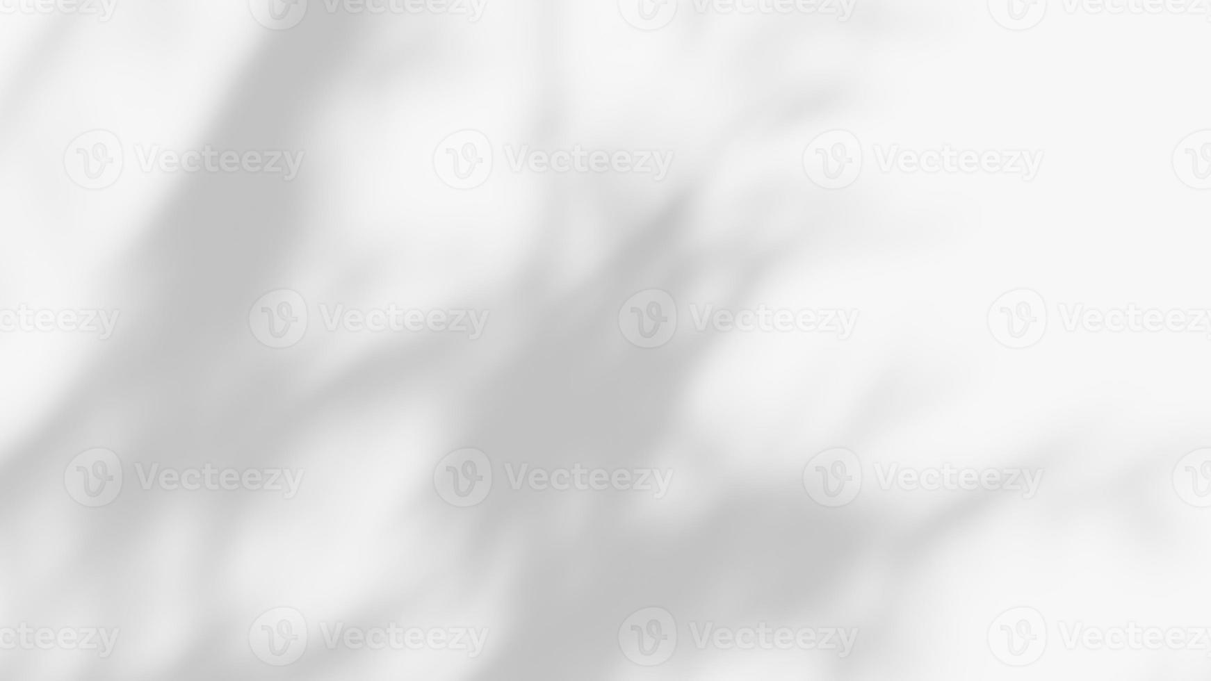 leaf shadow overlay effect. white background with tropical leaves shadows photo