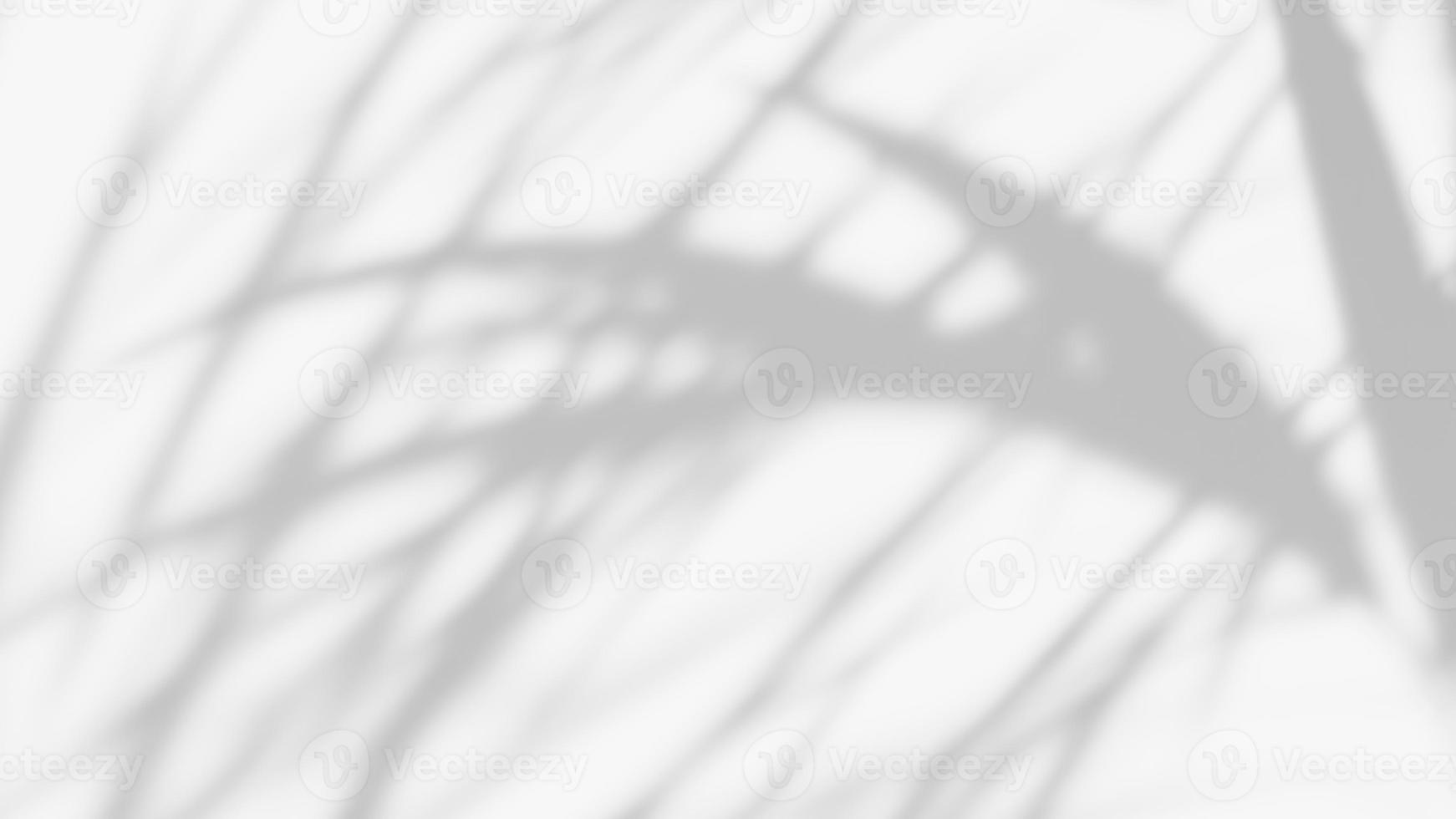 leaf shadow overlay effect. white background with tropical leaves shadows photo