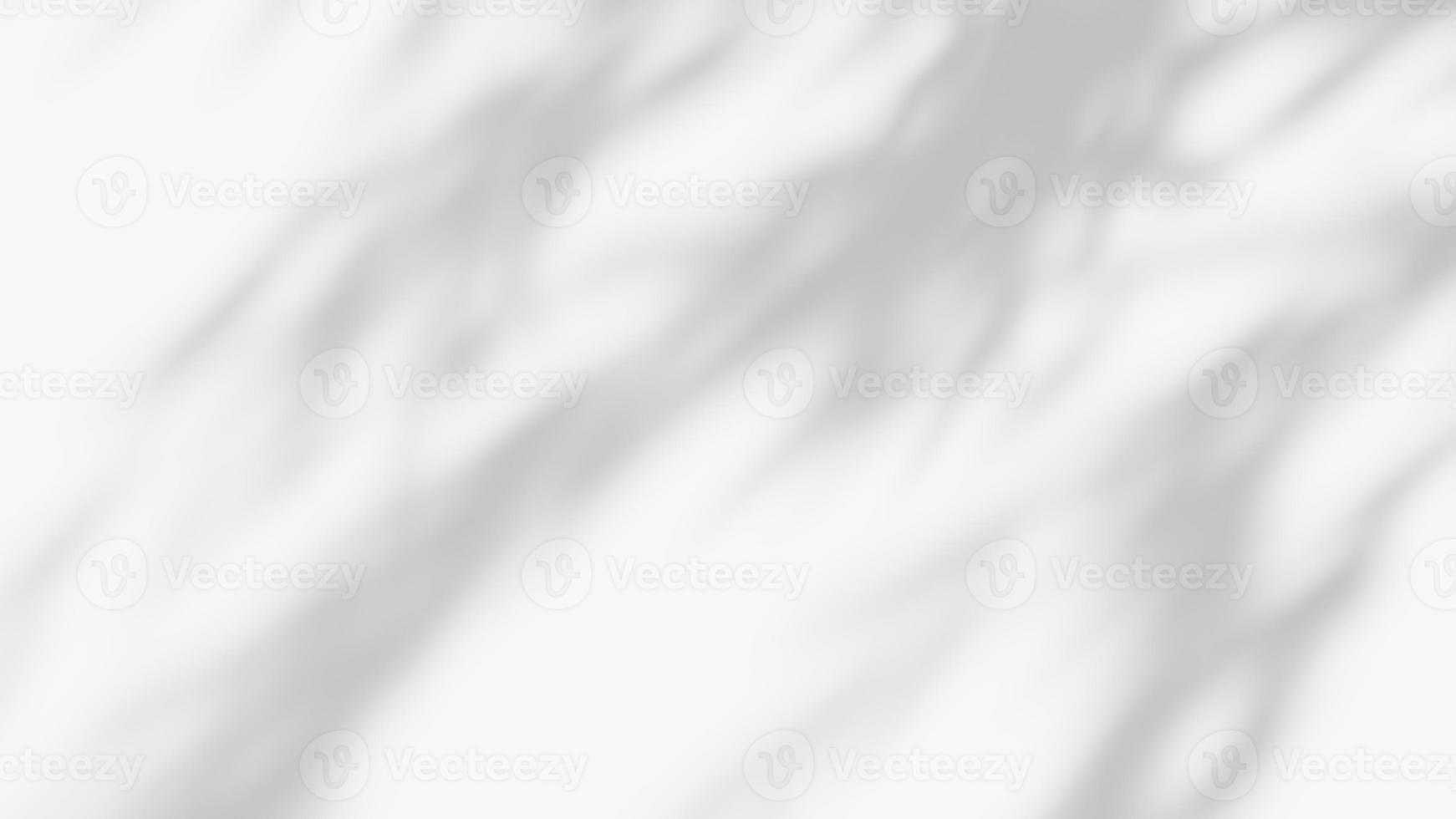 leaf shadow overlay effect. white background with tropical leaves shadows photo