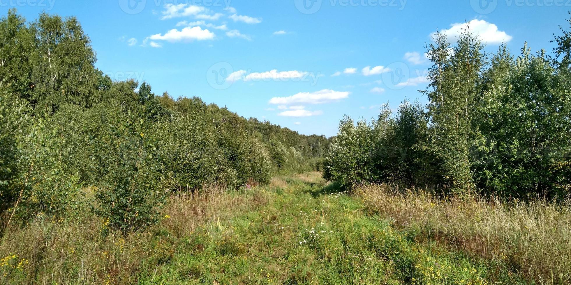 Beautiful landscape. Nature picture background. Spring nature. Blue clear sky. Sunlight and fluffy clouds. Field and meadow. photo