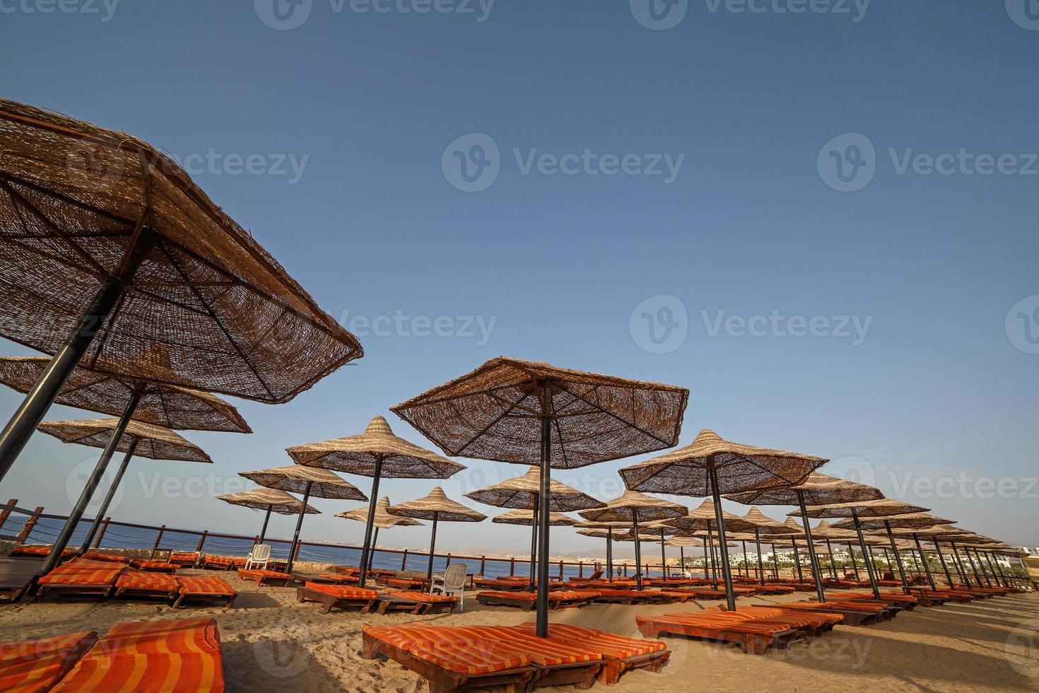 beach in resort at Red Sea, Egypt photo