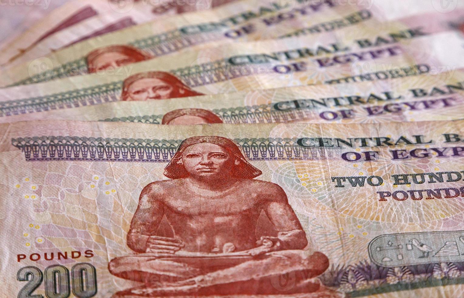 close up of Egyptian pounds photo
